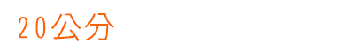 20公分